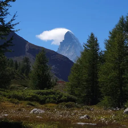 Ξενοδοχείο με διαμερίσματα Artist & Garni