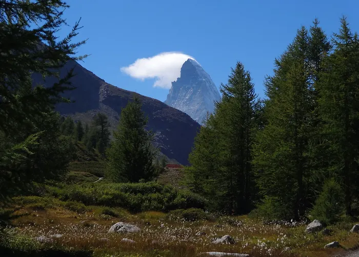 Hotel apartamentowy Artist & Garni
